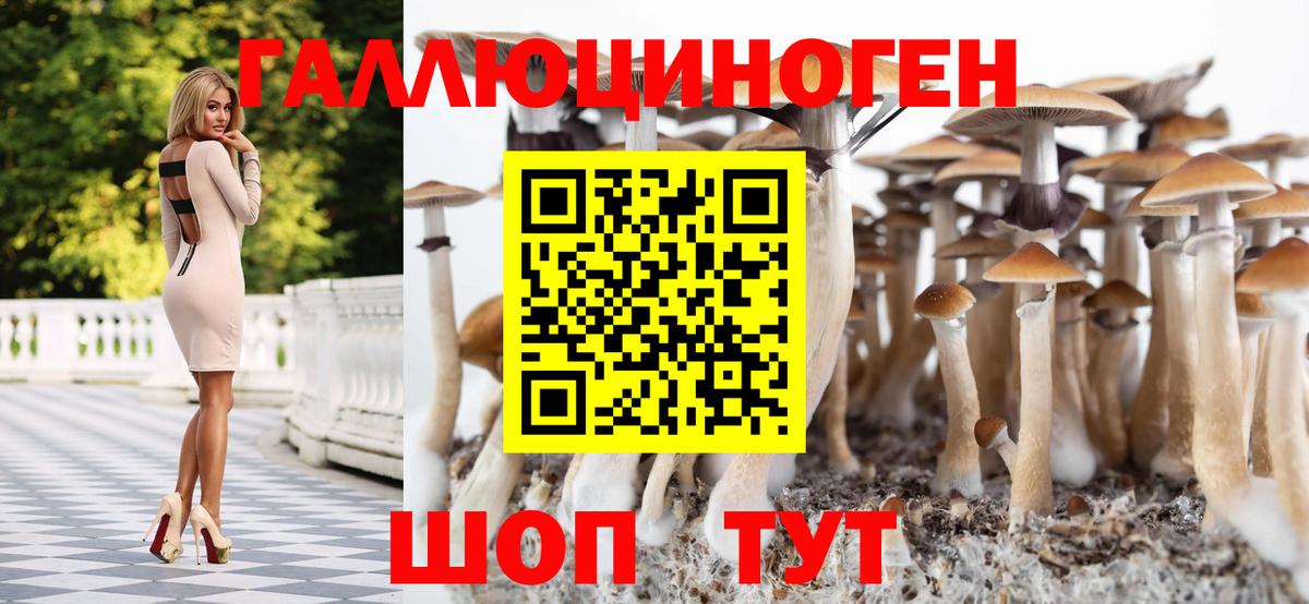 Псилоцибиновые грибы мухоморы  Вход с VPN  Галлюциногенные грибы мухоморы  купить  сайты  Ачхой-Мартан 